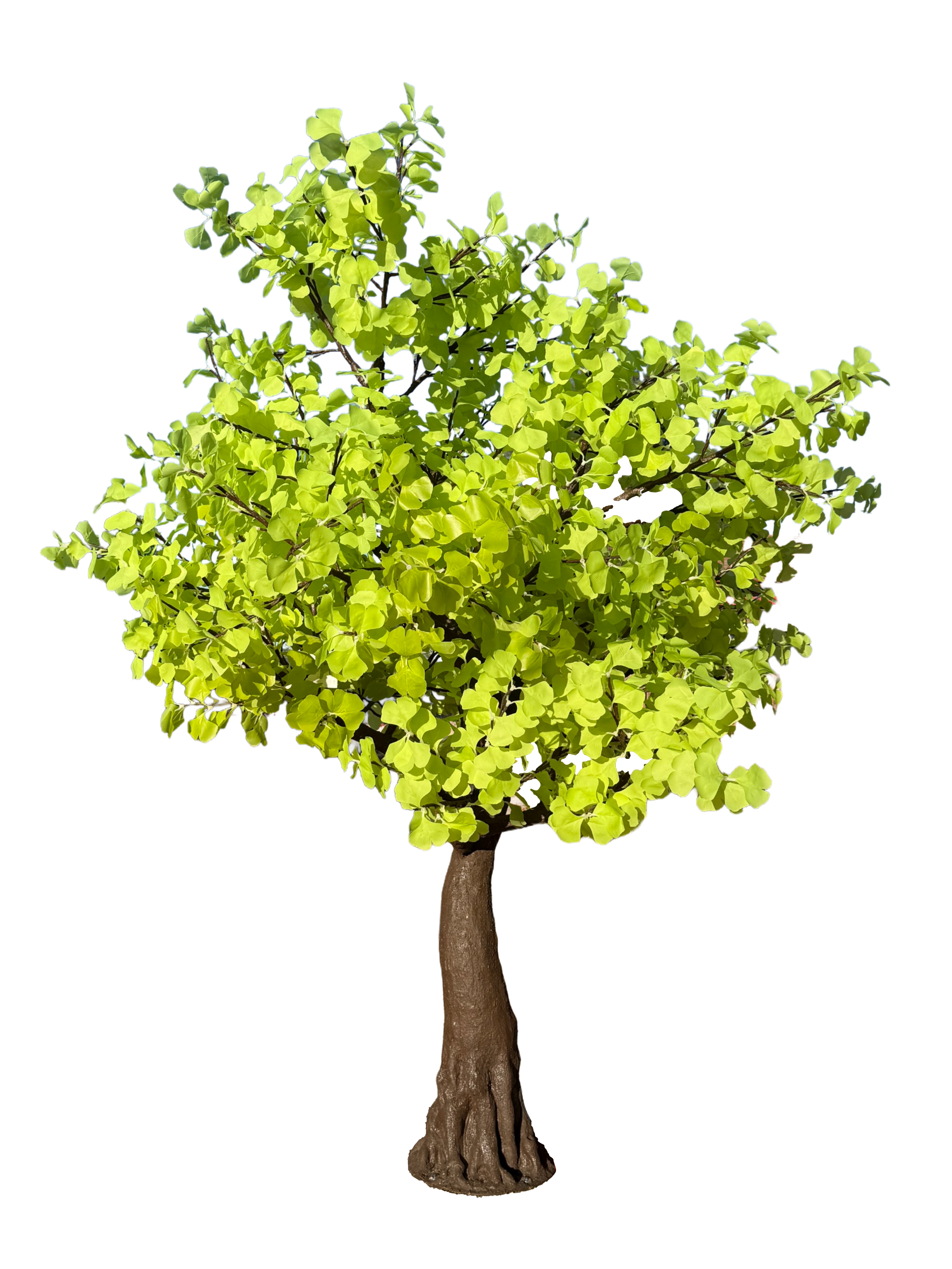 9.5 ft LED Ginkgo Tree